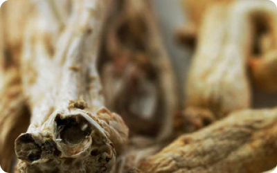 Ginseng